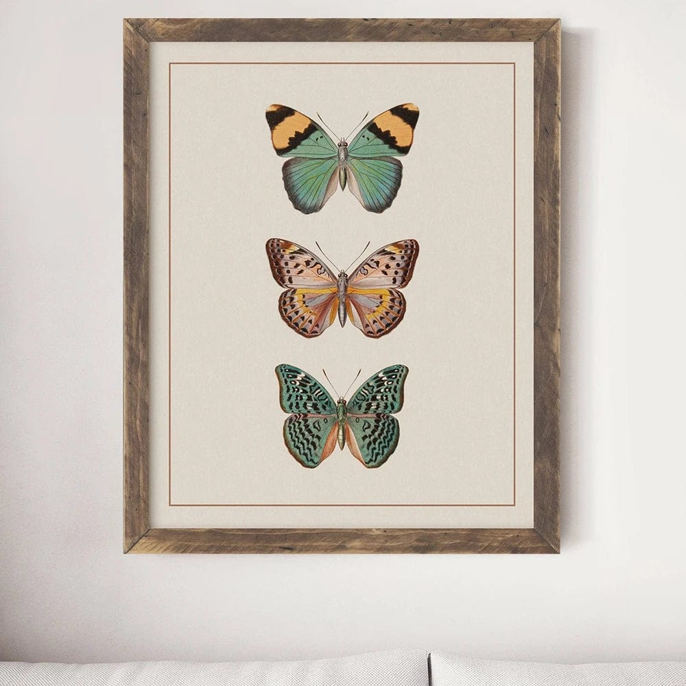 Beige Sepia Modern Victorian Butterfly Vintage Poster Prints Insect Education Wall Art Picture Canvas Painting Kids Room Decor
