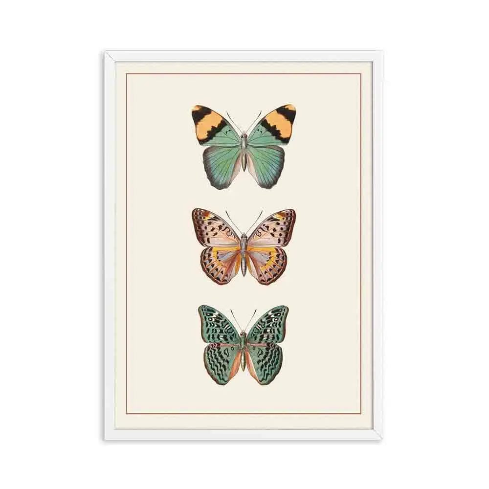 Beige Sepia Modern Victorian Butterfly Vintage Poster Prints Insect Education Wall Art Picture Canvas Painting Kids Room Decor