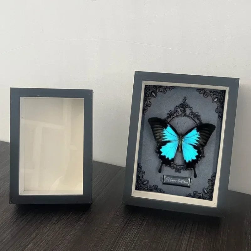 Brown butterfly display frame