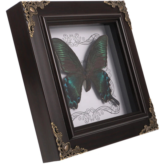 Butterfly frame photo vintage decor
