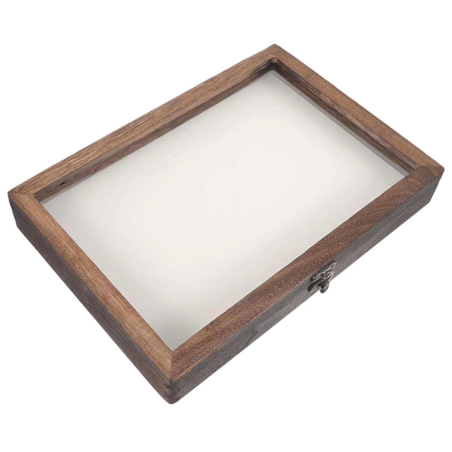 Large coffee butterfly display frame