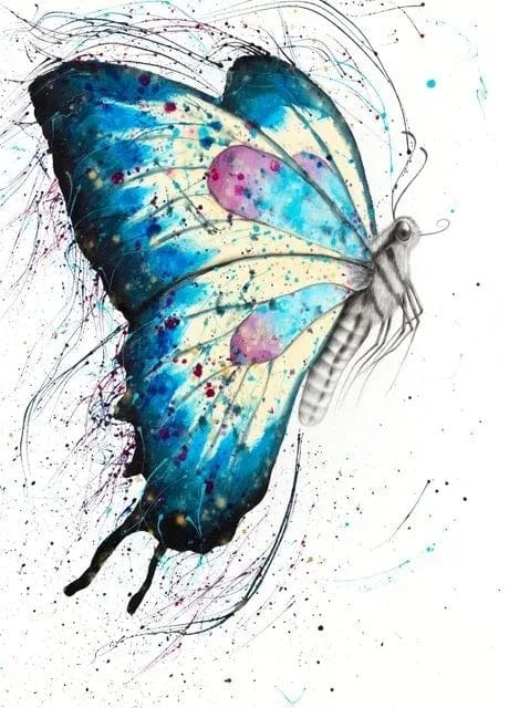 Nordic Colorful Beautiful Butterfly Poster Aesthetic Canvas Painting Wall Art Kitchen Gallery Room Home Decor No Frame