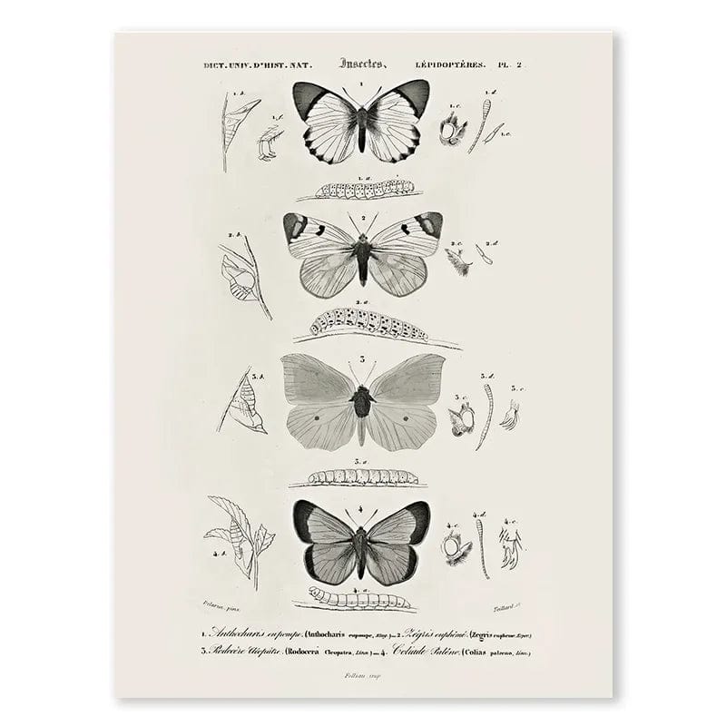 Vintage Black Butterfly Flowers Posters Abstract Matisse Wall Art Canvas Painting Nordic Interior Living Room Picture Home Decor