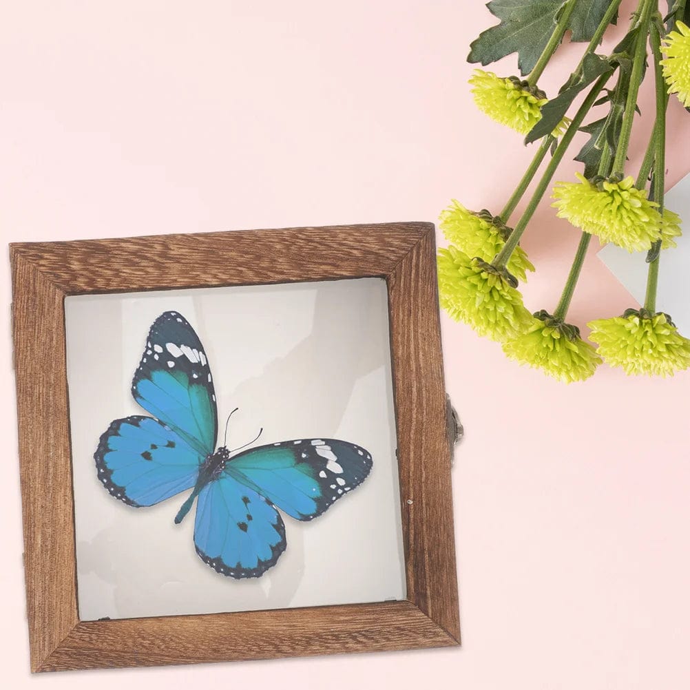 Wooden butterfly display frame