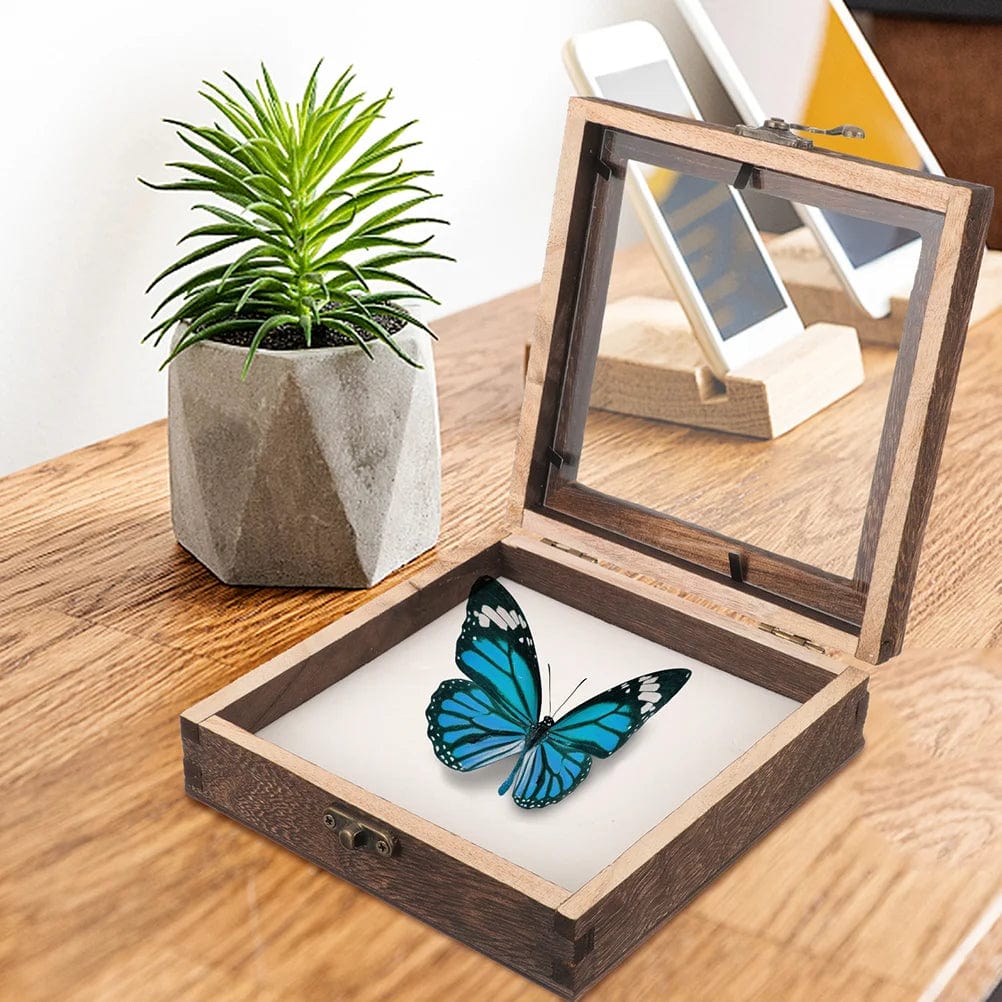 Wooden butterfly display frame